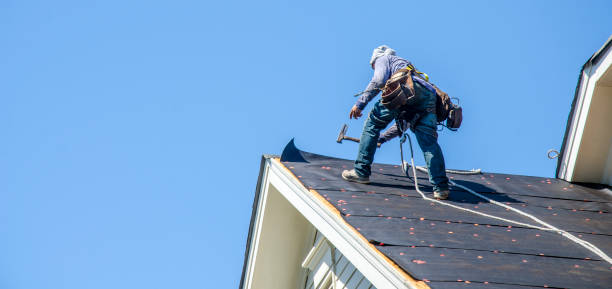 Best Storm Damage Roof Repair  in Peosta, IA